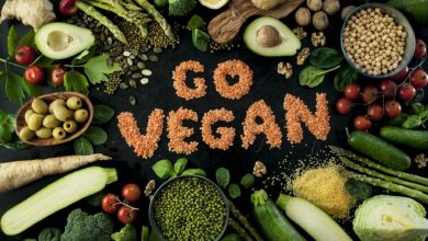 Photo of Vegan Kimdir?