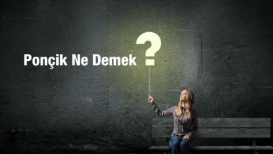 Photo of Ponçik ne demek? Ponçik nedir?
