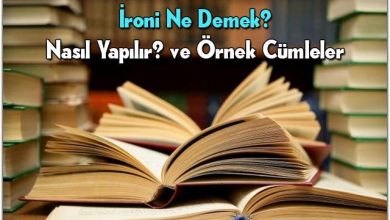 Photo of İroni Ne Demek?