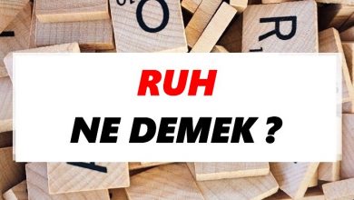 Photo of Ruh Nedir? Yaşamdan Önce Varmı ve Sonrasında da Devam Ediyor mu?