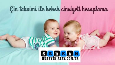 Photo of Çin Takvimi Nedir? Nasıl Hesaplanır?