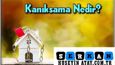 Photo of Kanıksama Nedir?