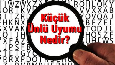 Photo of Küçük Ünlü Uyumu Nedir?