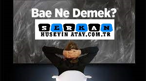 Photo of Bae Ne Demek?