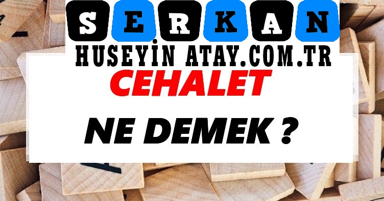 Photo of Cehalet Nedir? Cahil Kimdir? Cahil Olunmaz?