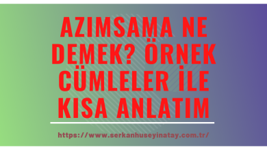 Photo of Azımsama ne demek?