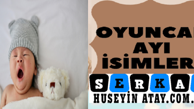 Photo of Oyuncak Ayı İsimleri
