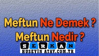Photo of Meftun ne demek?
