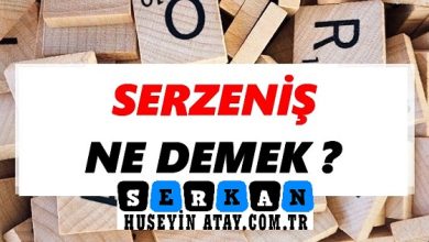 Photo of Serzeniş ne demek?