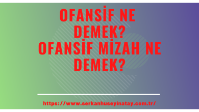 Photo of Ofansif ne demek?