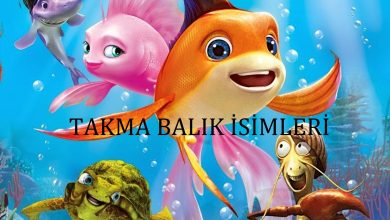 Photo of Takma Balık İsimleri