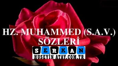 Photo of Hz. Muhammed Sözleri