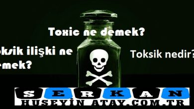 Photo of Toxic ne demek?