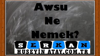 Photo of Awsu Ne Demek?