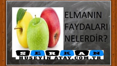 Photo of Elmanın Faydaları Nelerdir?