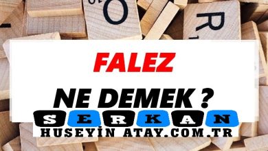 Photo of Falez Ne Demek?