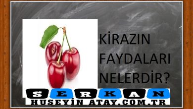 Photo of Kirazın Faydaları Nelerdir