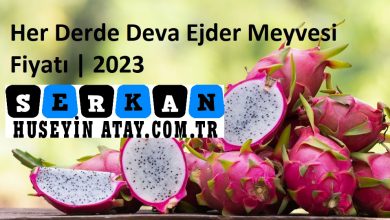 Photo of Her Derde Deva Ejder Meyvesi Fiyatı | 2023