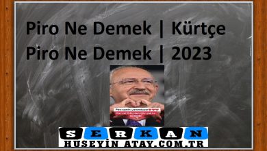 Photo of Piro Ne Demek | Kürtçe Piro Ne Demek | 2023
