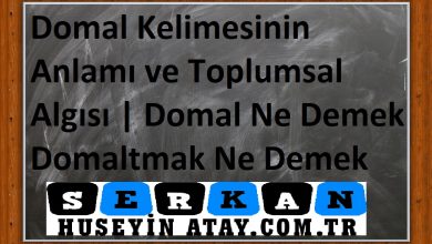 Photo of Domal Kelimesinin Anlamı ve Toplumsal Algısı