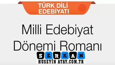 Photo of Milli Edebiyat Dönemi Roman Özellikleri