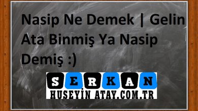 Photo of Nasip Ne Demek | Gelin Ata Binmiş Ya Nasip Demiş | 2023