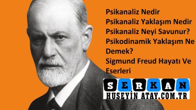 Photo of Psikanaliz Nedir | Psikanaliz Yaklaşım Nedir