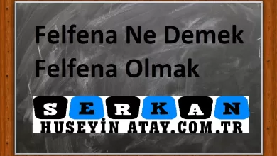 Photo of Felfena Ne Demek | Felfena Olmak