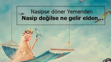Photo of Nasip ile ilgili sözler