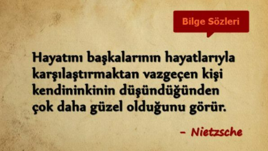 Photo of Başkalarının hayatına müdahale etmek ile ilgili sözler