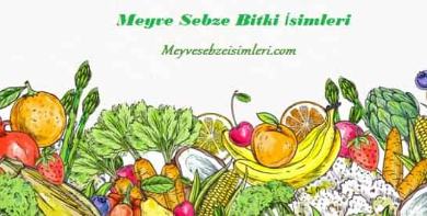 Photo of A’dan Z’ye Meyve İsimleri: Vitamin ve Lezzet Dolu Doğal Seçenekler