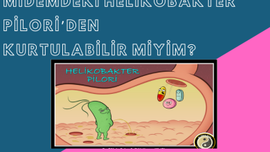 Photo of helicobacter pylori kurtuldum