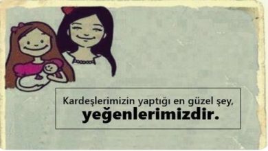 Photo of Teyze yeğen sözleri kısa
