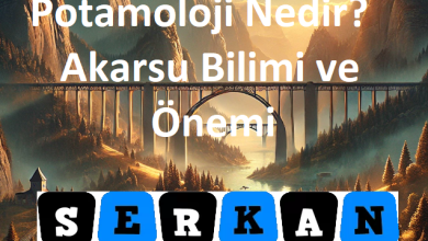 Photo of potamoloji nedir coğrafya