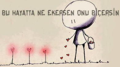 Photo of Ne ekersen onu biçersin ile ilgili hikaye