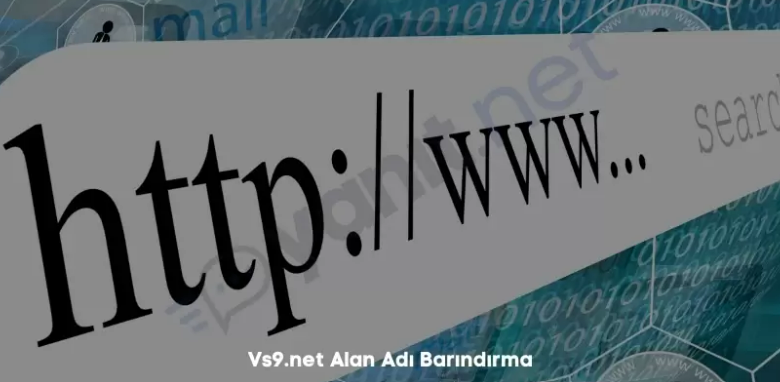 vs9.net
