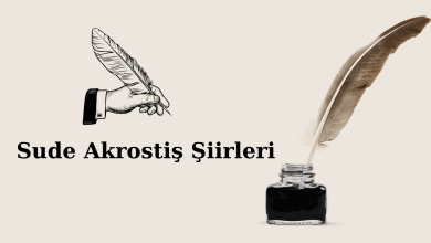 Photo of Sude akrostiş