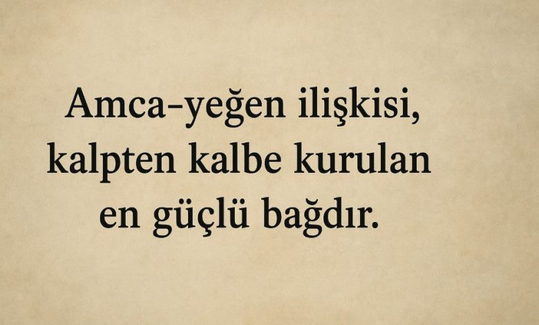 amca sözleri
