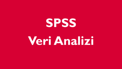 Photo of SPSS Analizi Yaptırmak: Süreç, Fiyatlar ve Dikkat Edilmesi Gerekenler